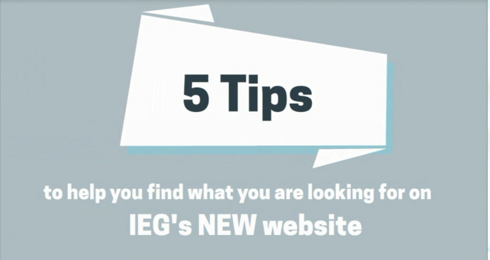 5 tips to help you search IEG's new website