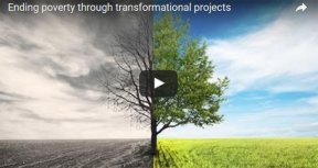 VIDEO: Assessment of Transformational Engagements