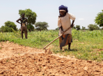 Four Lessons from the Sahel on Land Restoration Programs and their Impact on Vulnerable Populations 