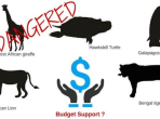 Is Budget Support an Endangered Species?