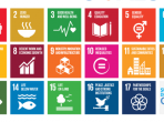 Staying on track with the Sustainable Development Goals – What evaluation can teach us