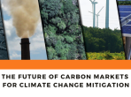 The Future of Carbon Markets for Climate Change Mitigation